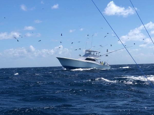 Fishing Isla Mujeres Mexico Cancun Obsession Sailfish Captain Jeff Ross Outer Banks NC